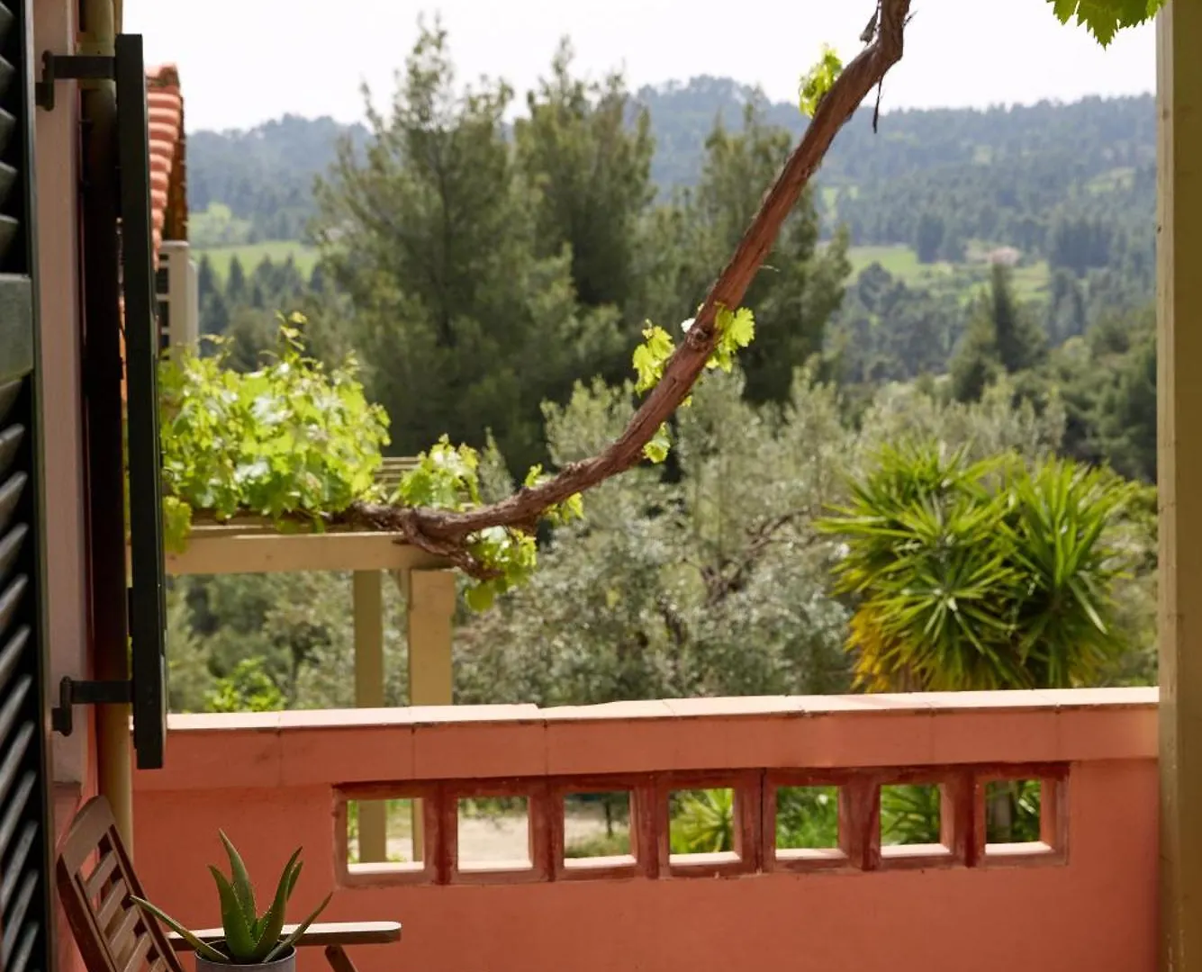 Kopana Resort Pefkochori Apartament